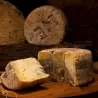 Gamonéu del Valle Toriello