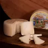 LOS CUETOS OVEJA