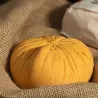 Afuega’l Pitu Trapo Rojo Temia