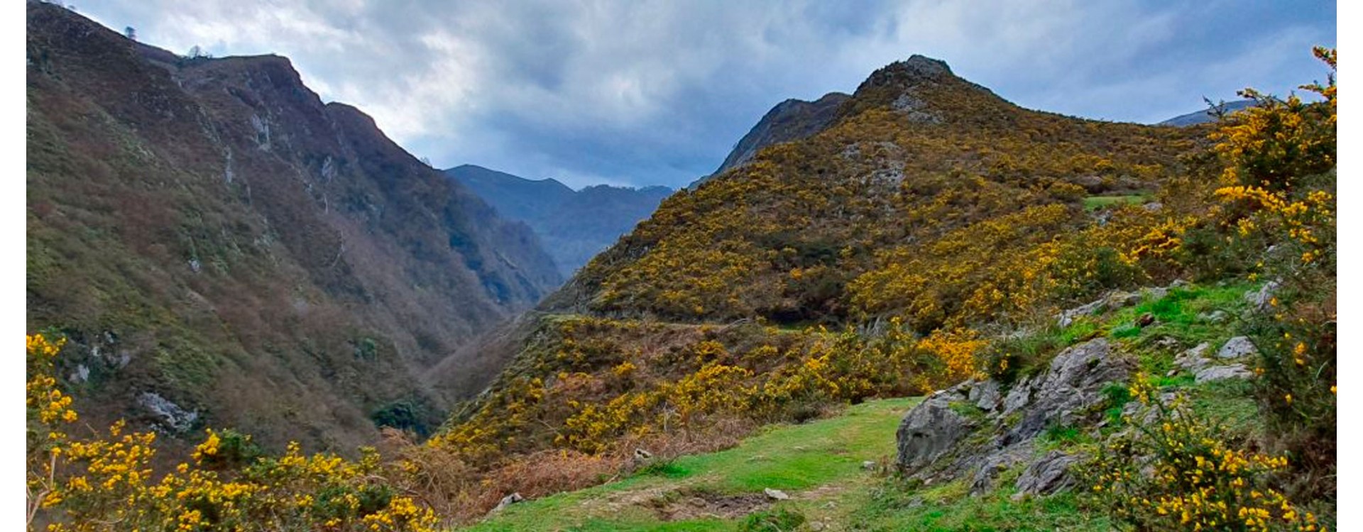 Ovín: edén del queso, la sidra y el agua
