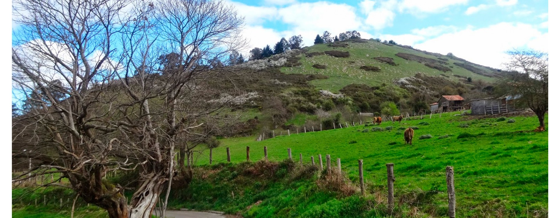 Siero, la cuna de la quesería tradicional asturiana de autor de Casielles
