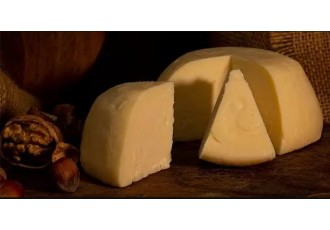 EL QUESO D.O.P. CASÍN, UNA PEQUEÑA GRAN JOYA DEL PARAÍSO QUESERO